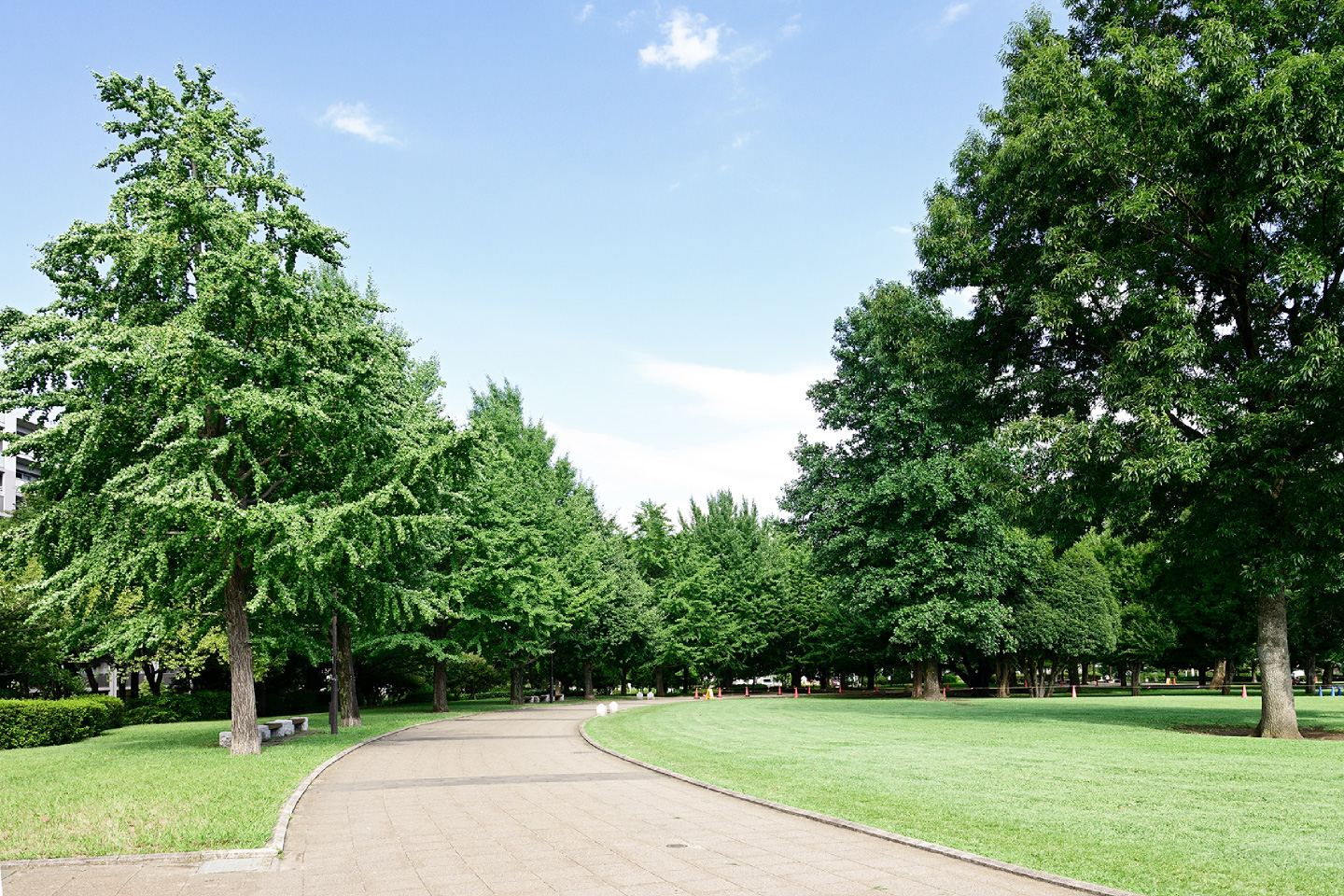 都立武蔵国分寺公園（徒歩7分/約500m）