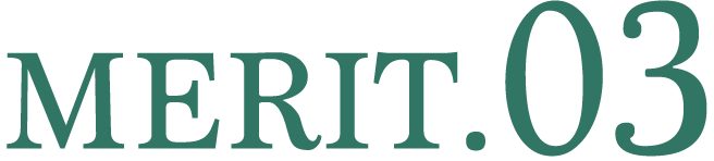 MERIT.03