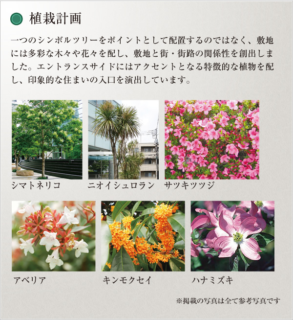 植栽計画