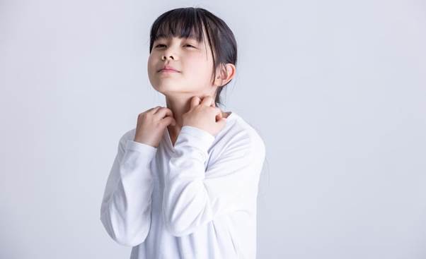 布団のダニは特に梅雨時期に対策が必要