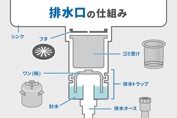 排水口の仕組み