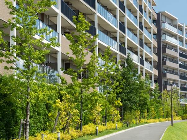 マンション 虫 特徴